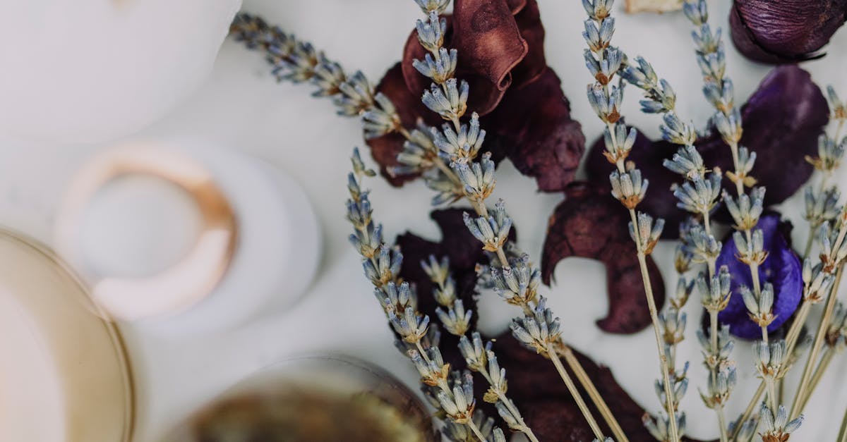 How a Couples Massage can Strengthen Your Relationship in New Orleans