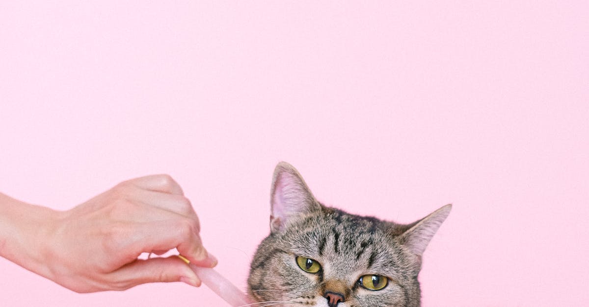 Why Choose Our Couples Massage Tulsa, Oklahoma