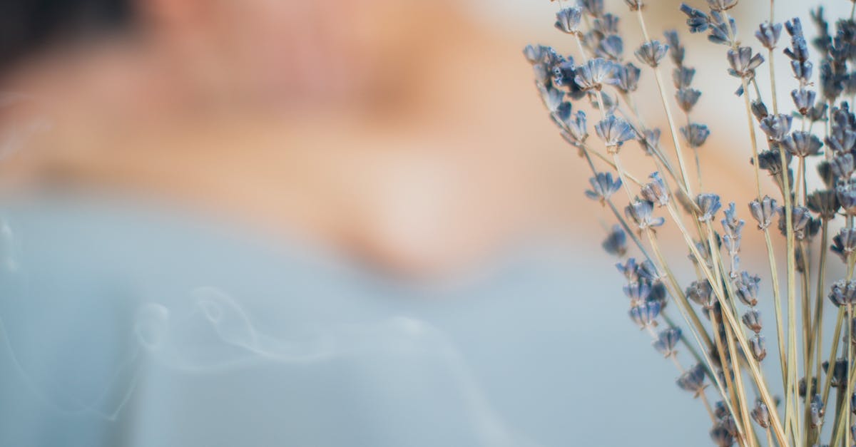 Review of the Top Couples Massage Spots in Nashville