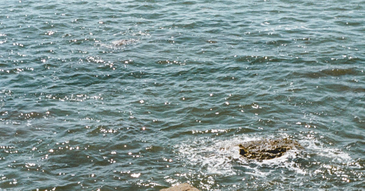 Round-Up of Essential Tips for First-Time Couples Massage Goers