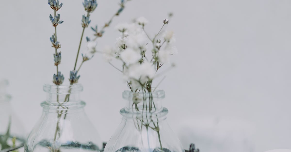 What to Expect During a Couples Massage Session in Burnaby